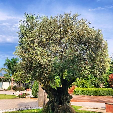 Hotel Ginevra Poggiomarino Εξωτερικό φωτογραφία