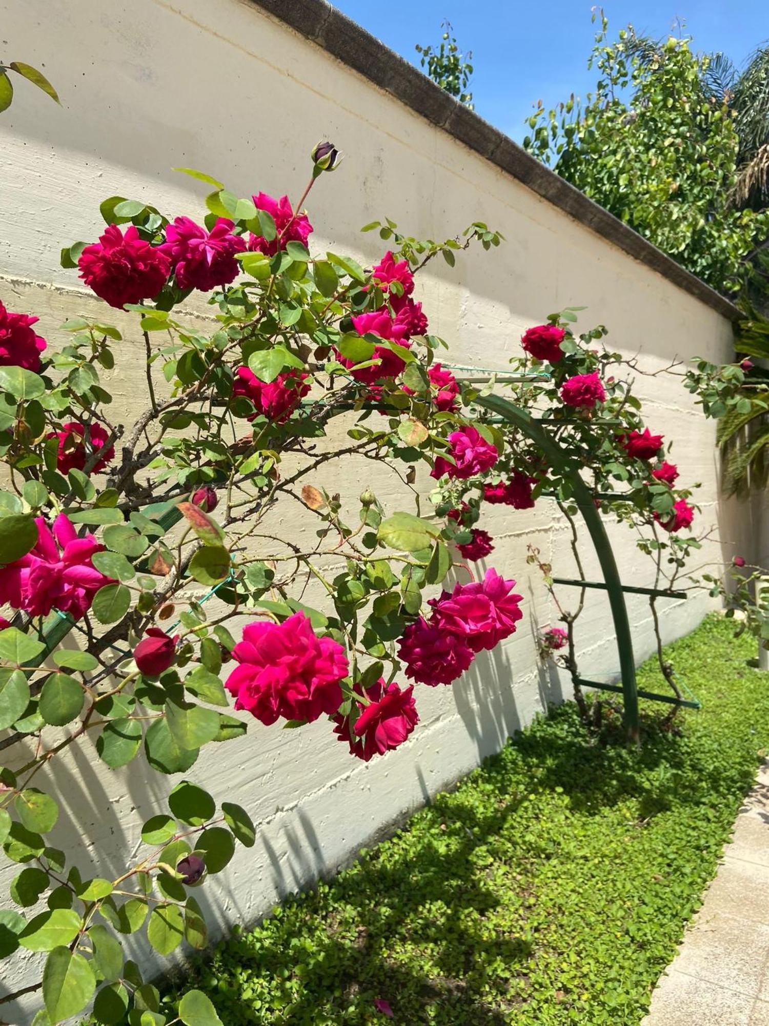 Hotel Ginevra Poggiomarino Εξωτερικό φωτογραφία